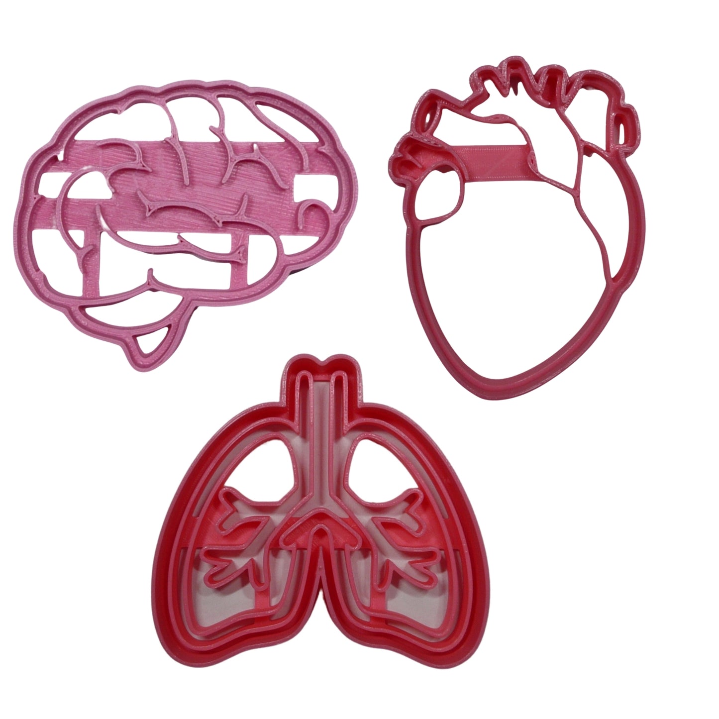 Organs Brain Heart And Lungs Set Of 3 Cookie Cutters Made In USA PR1985