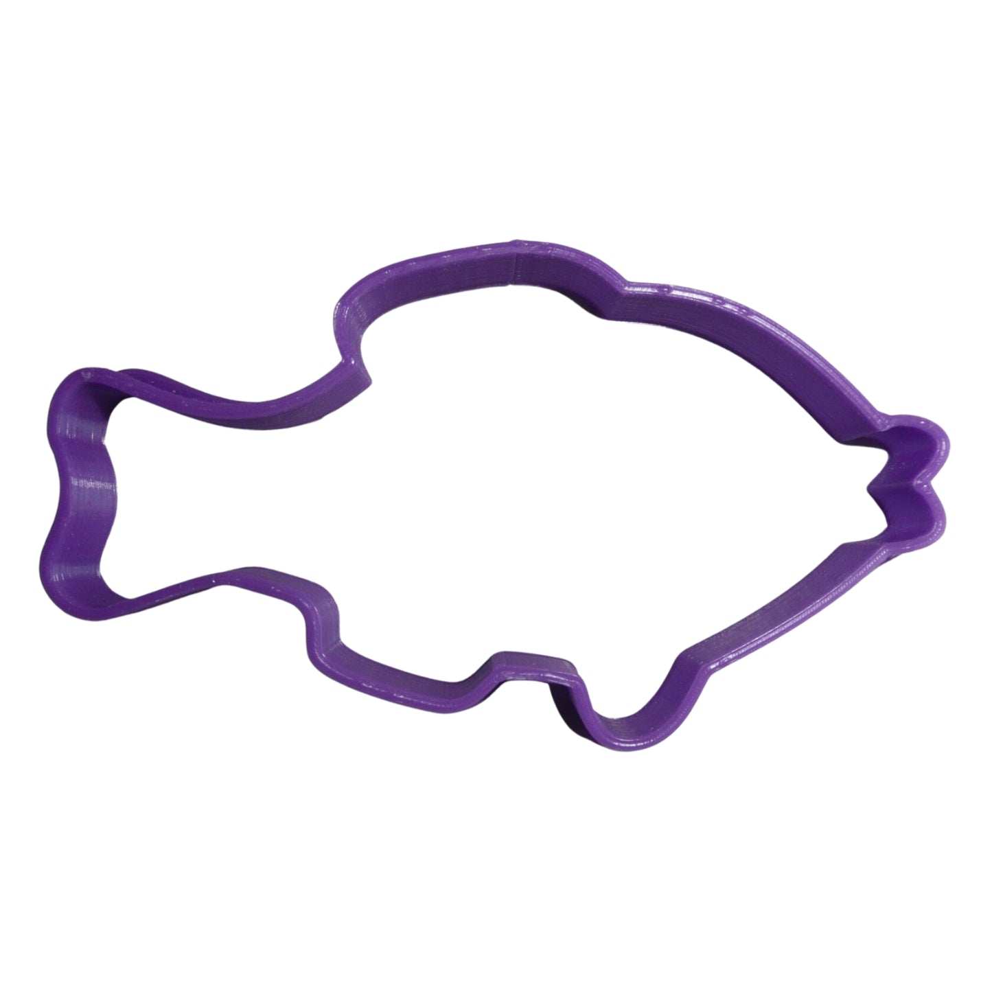 Fish Outline Fishing Water Cookie Cutter USA PR2037
