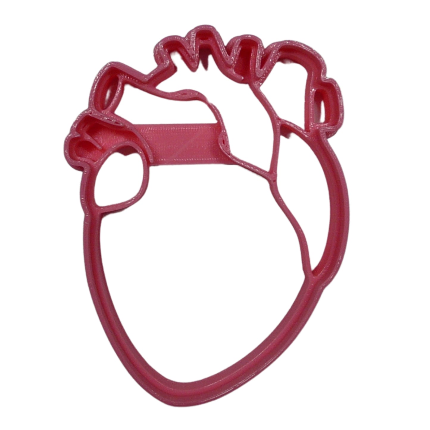 Anatomical Heart Medical Theme Cookie Cutter Made In USA PR5411