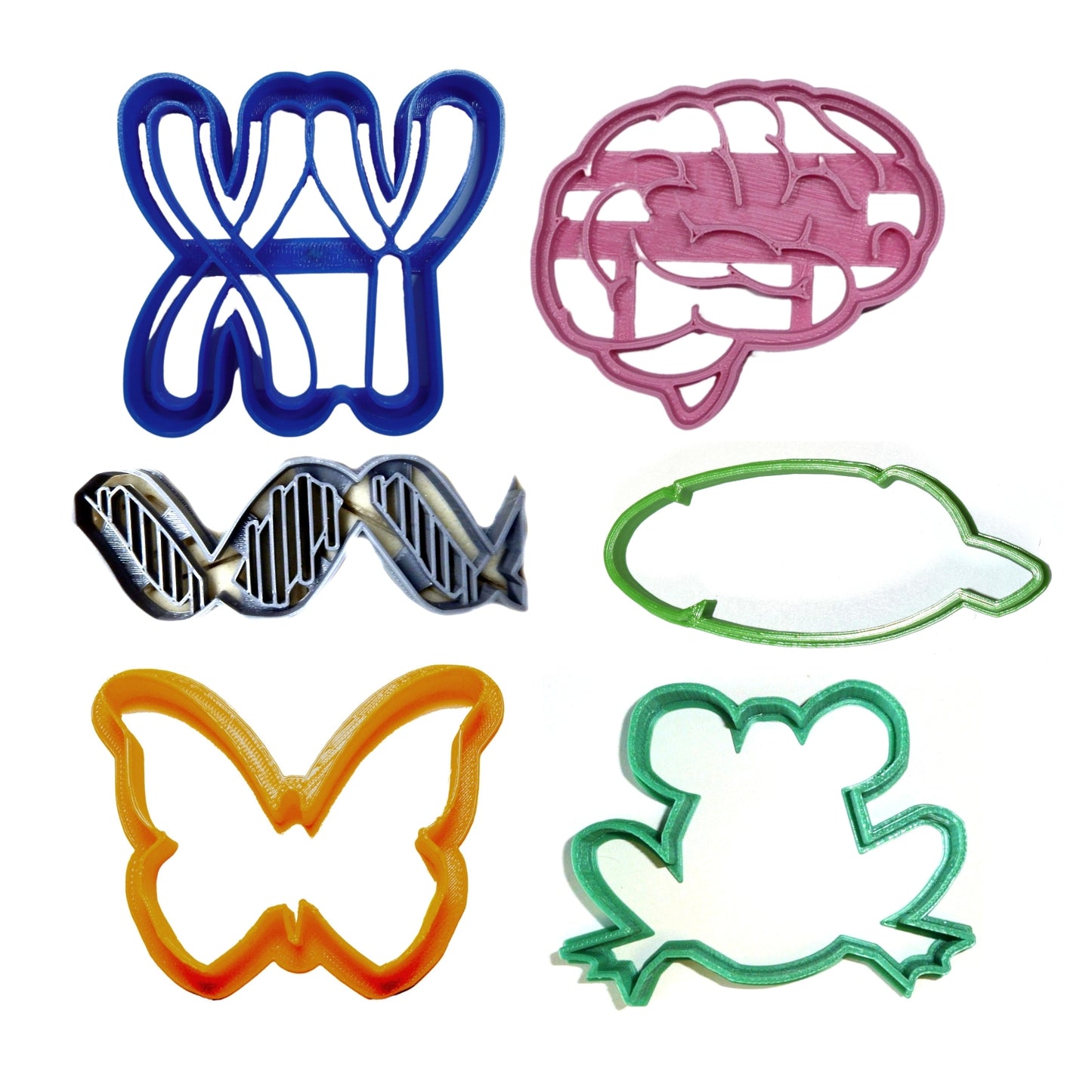 Biology Theme Chromosome DNA Brain Set Of 6 Cookie Cutters Made In USA PR9014