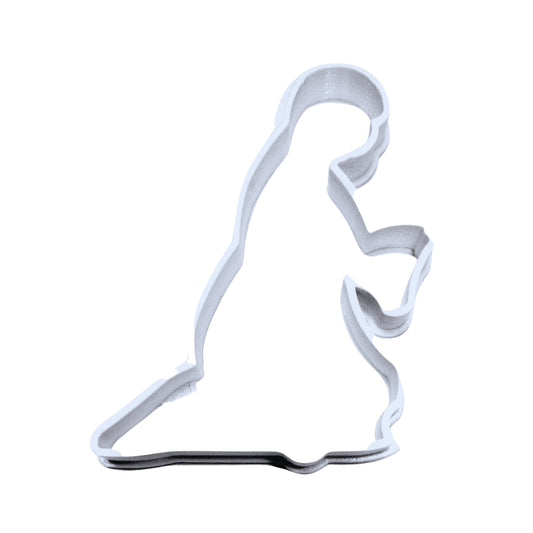 Mary Virgin Mother Of Jesus Christmas Nativity Scene Cookie Cutter USA PR2209